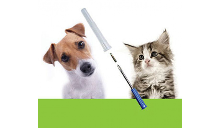 Povinné očkovanie psov a mačiek a povinné čipovanie