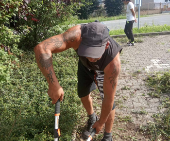 Rozvojový tím v akcii